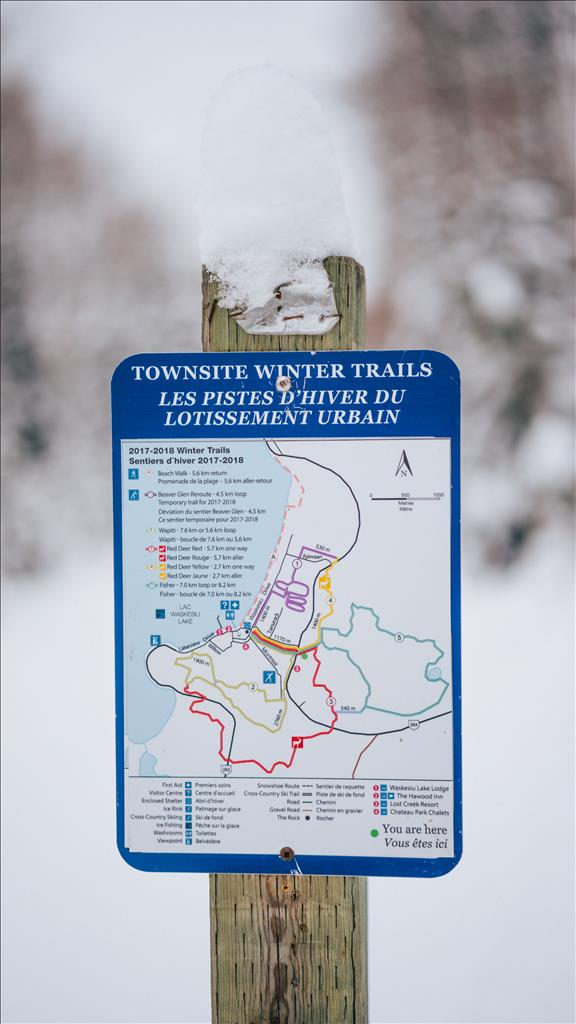 Waskesiu Lake Trails